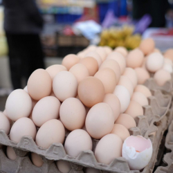 Кыргызстанда дээрлик баардык нерсе кымбаттады