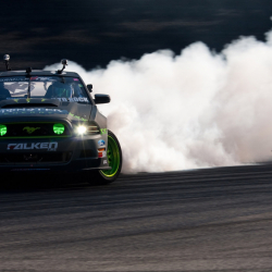 Видео - «Азербайжан» паркында автоээнбаштык фактысы аныкталды