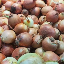 Өзбекстандан келген 26 тоннадан ашык пияз артка кайтарылды