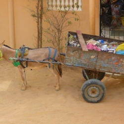 Эми “эшектей” иштөөчүлөр чыгабы? Алимент төлөбөй качып жүргөндөрчү?