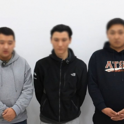 Кыргыз тилин шылдыңдаган блогерлер милицияга жеткирилди