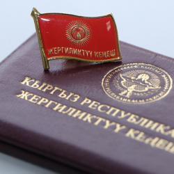 БШК жергиликтүү кеңештердин бир катар депутаттарынын ыйгарым укуктарын мөөнөтүнөн мурда токтотту