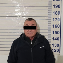 Чүйдө алдамчылыкка шектелген жаран камалды