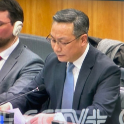 Китайский дипломат: Япония не имеет права претендовать на место постоянного члена СБ ООН