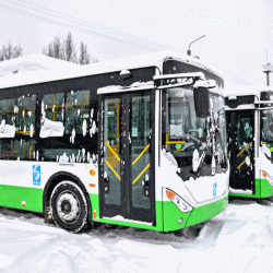 Өткөн жылы 144 автобус айдоочусу жумуштан бошотулду