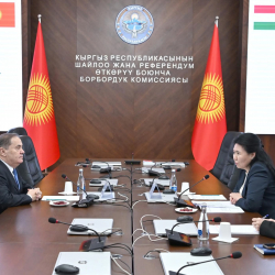 БШКнын төрагасынын орун басары Жупуева Мажарстандын Кыргызстандагы элчиси Шандор Дороги менен жолукту