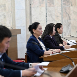 «Кыргыз Республикасынын мал чарбасындагы асылдандыруу иши жөнүндө» мыйзам долбоору экинчи окууда жактырылды