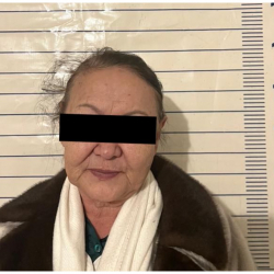 В Чуйской области задержана подозреваемая в самовольном захвате чужого земельного участка