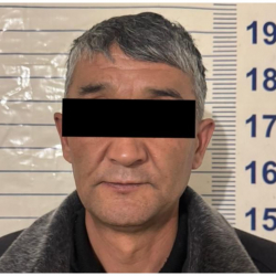 Чүй облусунда алдамчылыкка шектелген жаран кармалды