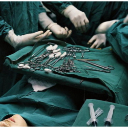 Кыргызстанда жынысын алмаштырган жаран боюнча укуктук прецедент жаралды