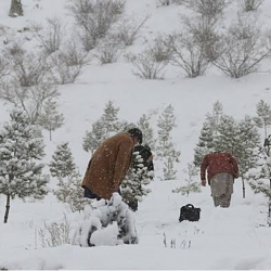 Афганистанда катуу сууктан улам 60тан ашуун адам каза болду