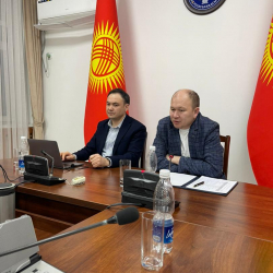 Саламаттык сактоо министрлигинде чет өлкөлөрдө иштеп жаткан кыргыз дарыгерлери менен онлайн-жолугушуу өттү