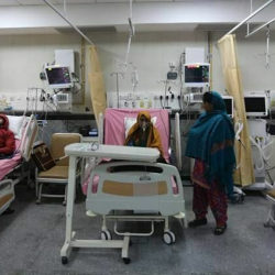 Индияда коркунучтуу Нипах вирусу жайылды