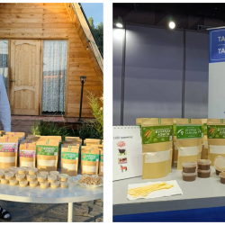 Таластык ишкер төө буурчактан протеин өндүрө баштады