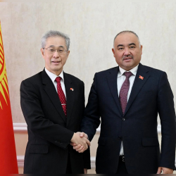 Кыргызстан менен Япониянын парламенттер аралык байланышы талкууланды