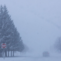 АКШда борошодон 30 адамдын өмүрү кыйылганы айтылды