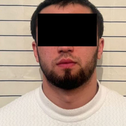 Социалдык тармактарда экстремисттик материалдарды тараткан жаран кармалды