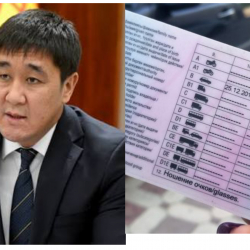 Абдан кымбатпы? Орунбеков автомектептерде окутуунун баасы тууралуу жазды