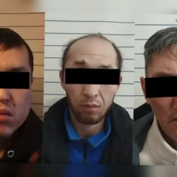 Чүйдө пенсионерди сабап, карактап кеткендер кармалды