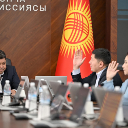 Жергиликтүү кеңештердин бир катар депутаттарынын ыйгарым укуктары мөөнөтүнөн мурда токтотулду