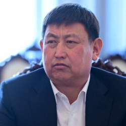 Ойлонбой сүйлөгөн, онтобогон ооруга чалдыгат