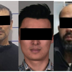 ИИМ: Эл аралык издөөдө жүргөн үч жаран кармалды