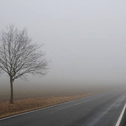 Сак болуңуз! Бишкек жана Чүйдү коюу туман каптайт