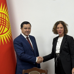 Министр здравоохранения КР обсудил приоритеты сотрудничества с системой ООН