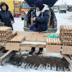 Түп жана Манас райондорунда жарманке өттү