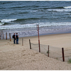 ПОЛЬША: Польша Орусия менен чектеш аймагына “дрон дубалын” курат