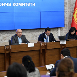 Комитет Жогорку Кенеша заслушал информацию об исполнении постановления о мерах, принимаемых по защите прав трудящихся-мигрантов за рубежом