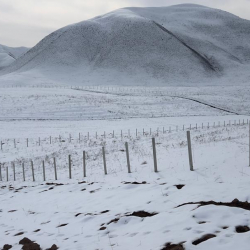 В Токтогульском районе на 30 гектарах устанавливают современную систему капельного орошения для интенсивного садоводства.