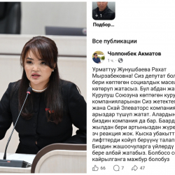 Депутат Жунушбаева курулуш компанияларын сызга отургузганбы?