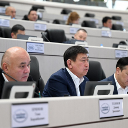 Эл аралык макулдашууларды ратификациялоого багытталган мыйзам долбоорлору биринчи окууда кабыл алынды