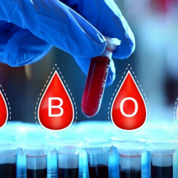 Илимпоздор эң жагымдуу деп эсептелген кан тобун аныкташты