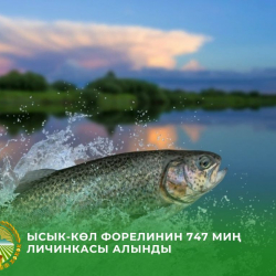 От икры до жизни: В инкубаторахполучено 747 тысяч личинок