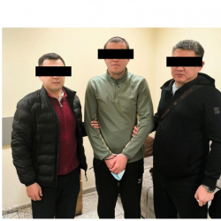 Экстрадиция обвиняемого в мошенничестве в крупном размере