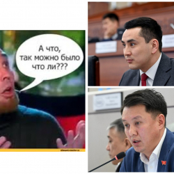 Абиров баштаган айрым депутаттардын “сабаттуулугу” коомдук сынга калды