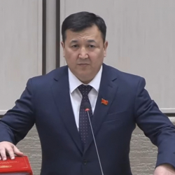 Депутат Алтынбек Кудайбердиев укккан кулакты “үркүткөн” сунуш айтты