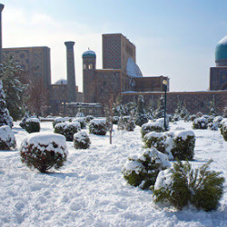 Өзбекстанда 15 миллиондон ашуун адамдын жеке маалыматтары уурдалып, Dark Web’ге жайылып кетти