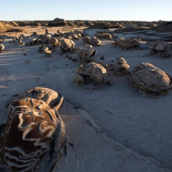 СҮРӨТ - Жердеги “бөтөн планета”