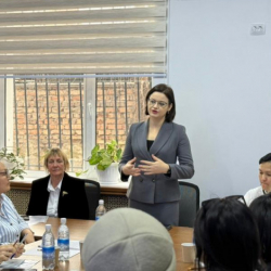 Рабочая встреча органов местного самоуправления и НПО по поддержке людей с инвалидностью