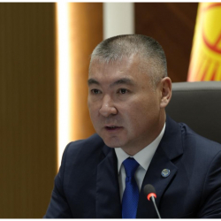 Приём в государственные автошколы стартовал