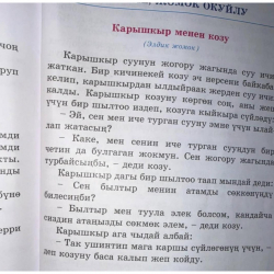 “Кара күч жана моралдык караңгылык” – Жомокчулардын жоругу жаштарга терс таасир берет