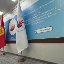 О чем просили Акыйкатчы в 2025 году: от алиментов, паспортизации до политических убежищ