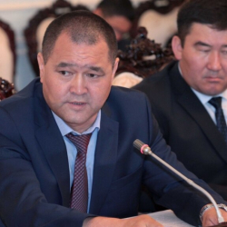 Мамасадыков УКМКнын төрагасынын биринчи орун басары болуп дайындалды