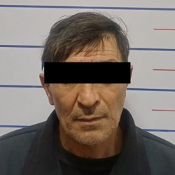 Бишкекте жаран токмоктолгон. Шектүү кармалды