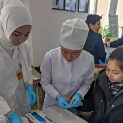 Иш берүүчүлөр жаш адистерди «Жаштар стажировкасы» программасы аркылуу тартууга мүмкүнчүлүк алышат