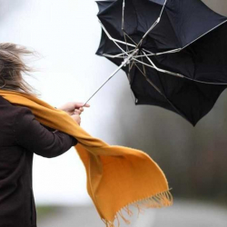 ӨКМ шашылыш билдирүү таратты! Бишкек жана Чүйдө катуу шамал күтүлөт