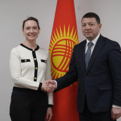 Мирбек Мамбеталиев Австриянын Кыргызстандагы элчиси Андреа Бахер менен жолукту